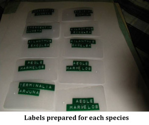 Labels prepared for each species
