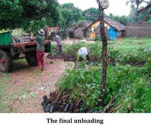 The final unloading