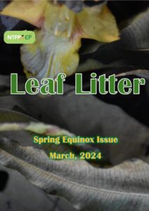 Leaf Litter march 2024